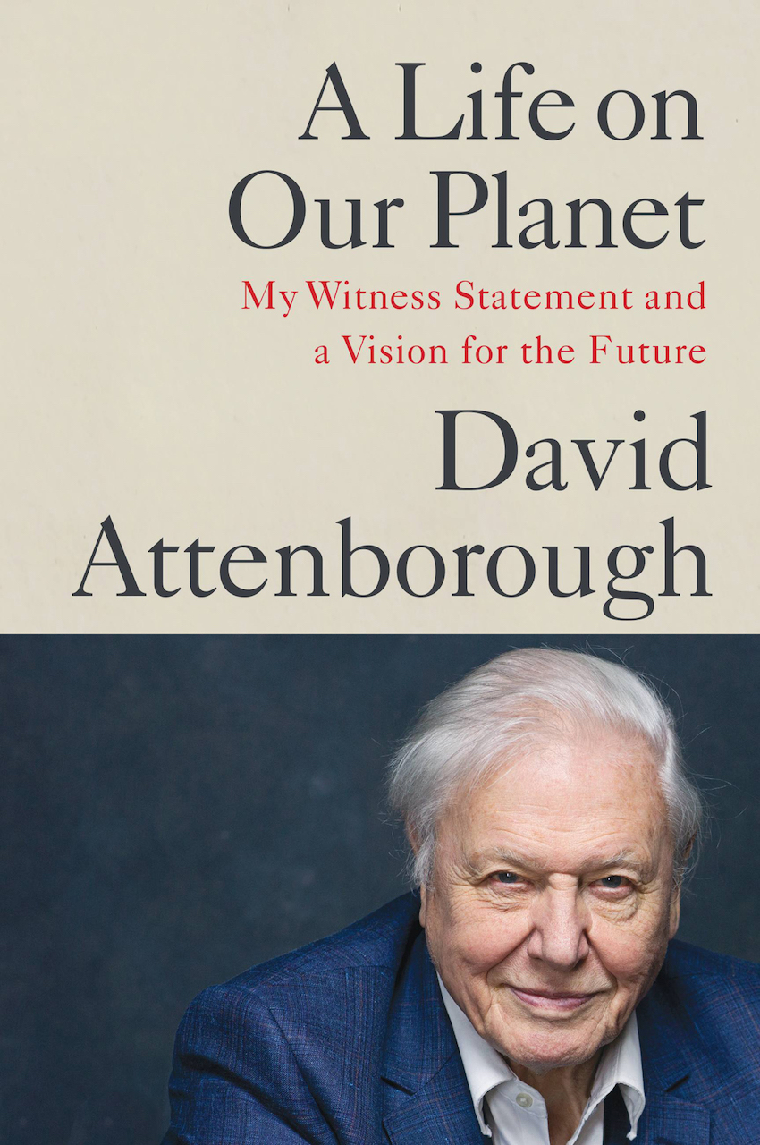 Life on Our Planet : My Witness Statement and a Vision for the Future